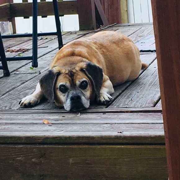 #Meet The Posher Monika - Picture 5 of 11